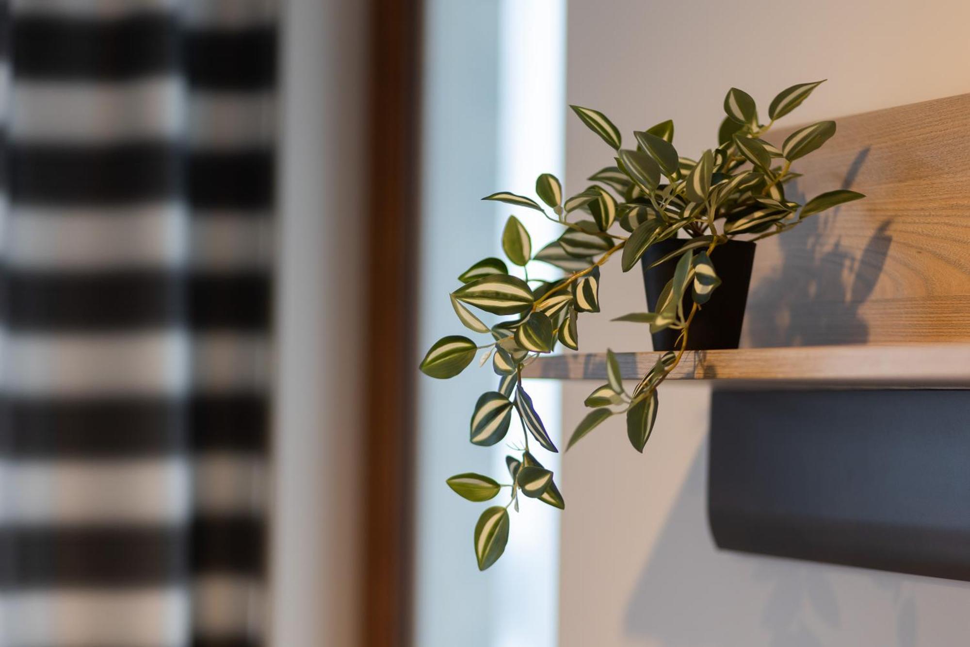 Apartment Lazurowa Street Parking & Balcony By Renters *